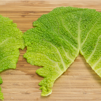 cabbage leaf 