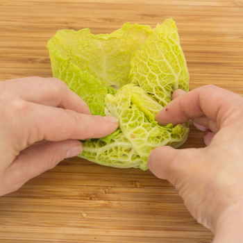 rolling cabbage rolls