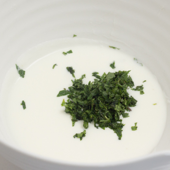 yogurt sauce